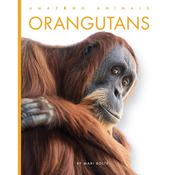 Amazing Animals Orangutans, (Paperback)