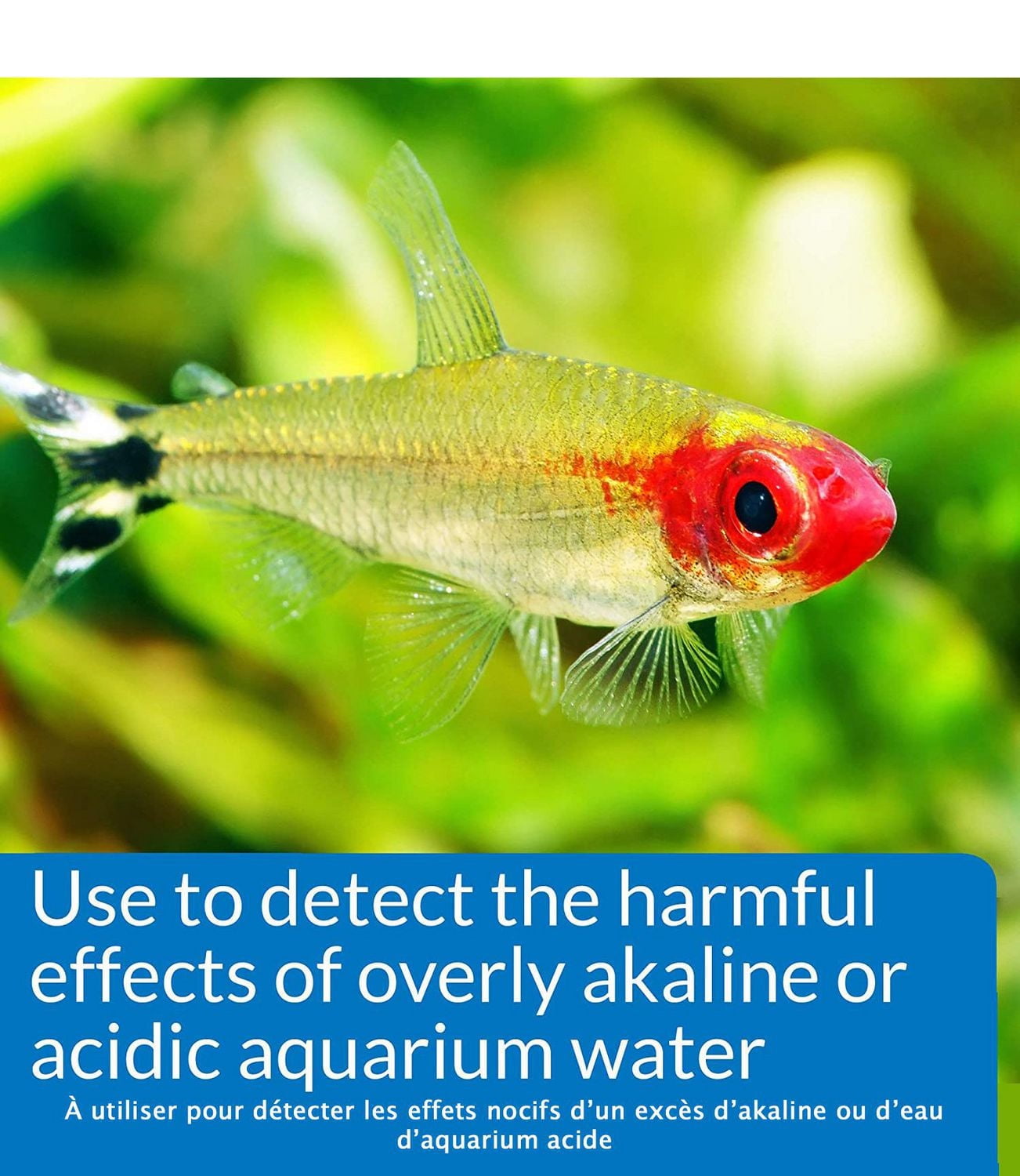 Kit de test aquatique PH haute gamme API