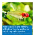 thumbnail image 2 of API High Range PH Aquatic Test Kit, 2 of 7