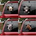 thumbnail image 3 of Etiqueta engomada del coche agrietada del cerdo divertido etiqueta de la ventana del coche Meme ganado 12 X 12 "pegatina del coche del Pvc cerdo 03 JM JM, 3 of 3