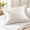 Ivory White-Standard: 20''x26''-2 Pack, variant on Black Queen: 20''x30''-2 Pack 22 Momme 6A Grade Mulberry Silk Pillowcases