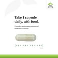 thumbnail image 4 of Terry Naturally FloraSure Probiotic - 30 Capsules, 4 of 7