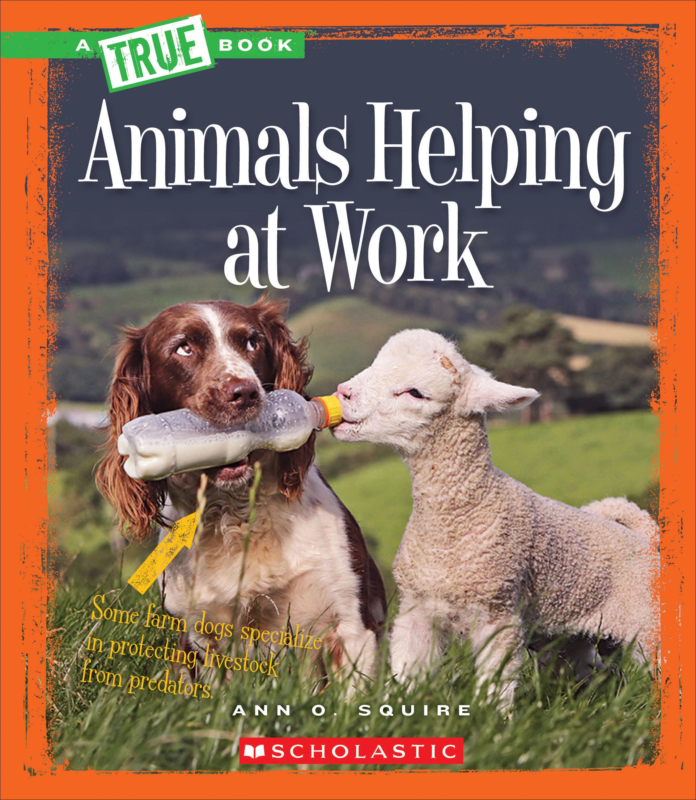 A True Book: Animal Helpers: Animals Helping at Work (a True Book ...