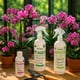 thumbnail image 3 of Kit Orquídeas - Nutrientes Escenciales Premium - Orquídeas Sanas - The Real Green, 3 of 7