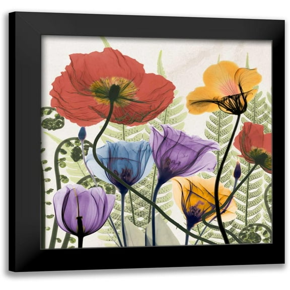 Koetsier, Albert 12x12 Black Modern Framed Museum Art Print Titled - Flowers And Ferns