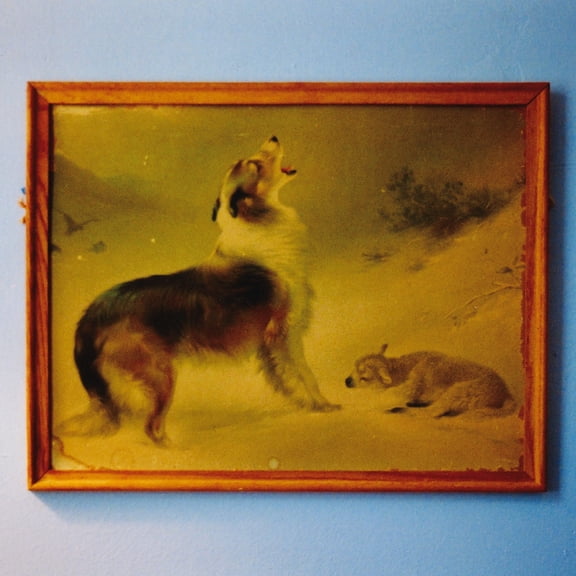 Explosions in the Sky - The Rescue - Music & Performance - Vinyl