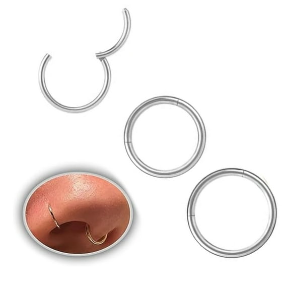 20G Nose Rings Hoop,Nose Studs Sets for Women Men,Stainless Steel Hinged Clicker Segment,Nose Rings Hoop Helix Cartilage Daith Tragus Sleeper Earrings(3pcs,6mm 8mm 10mm,Silver)