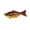 B, variant on Multi Jointed Segmented Hard Fishing Tackle Life-like Swimming Action for Sea and Freshwater Fishing 3.9 Inches 0.56 oz