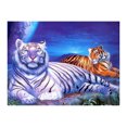 thumbnail image 1 of 30x40 cm 5D DIY Pintura de Diamante Completa,Lindo Tigre Decoración de Sala de Estar Pintura de Diamante,DIY Diamante Diamantes de Imitación Lienzo Pintura de Punto de Cruz por Número para Decoración, 1 of 5