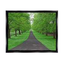 Stupell Industries Tree Grove Path Landscape Nature Photography Black Floater Framed Art Print Wall Art, 31 x 25