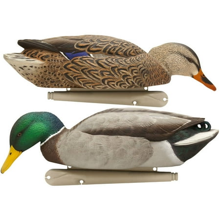 Gadwall Ducks - Avian X Top Flight Duck Decoy, Back Water Mallard, Pack of 6