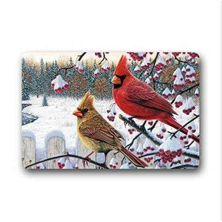 Cardinals Runner Mat - WinHome Funny red Cardinal bird art Doormat Floor Mats Rugs Outdoors/Indoor Doormat Size 23.6x15.7 inches