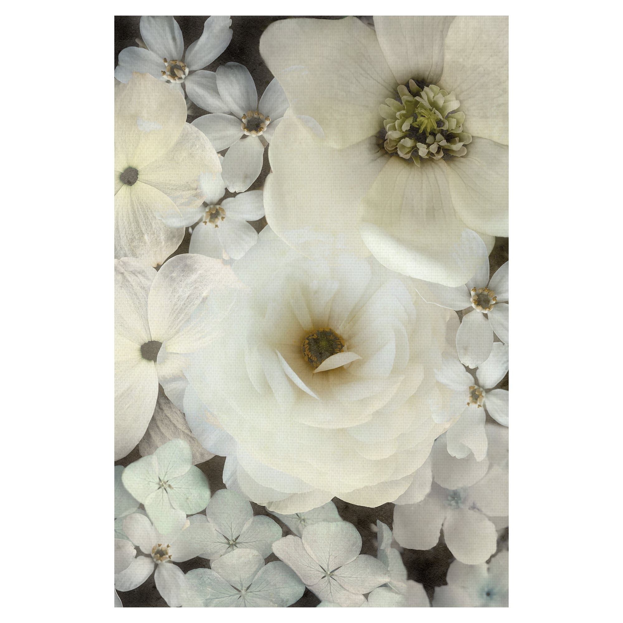 Dazed Delight by Collezione Botanica Floral Photograph Canvas Art