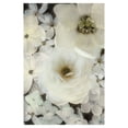 thumbnail image 2 of Dazed Delight by Collezione Botanica Floral Photograph Canvas Art, 2 of 4
