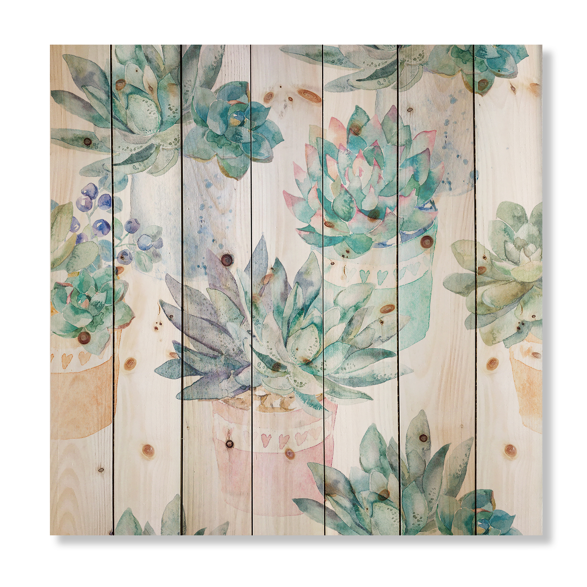 Designart 'Pastel Toned Succulent Housplants in Flowerpots' Traditional Print on Natural Pine Wood