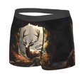 thumbnail image 2 of Daiia Enchanted Deer In Cave Men's Underwear Boxer Briefs, Cotton Stretch Moisture-Wicking Underwear-X-Large, 2 of 9