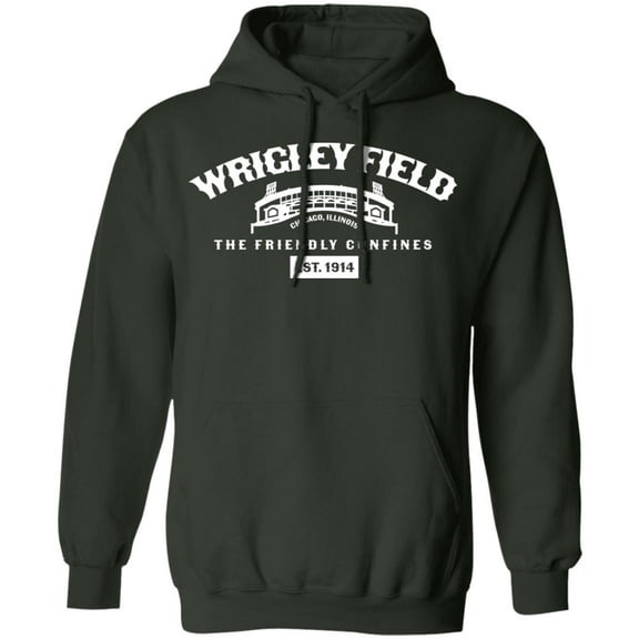 The Friendly Confines Pullover Hoodie