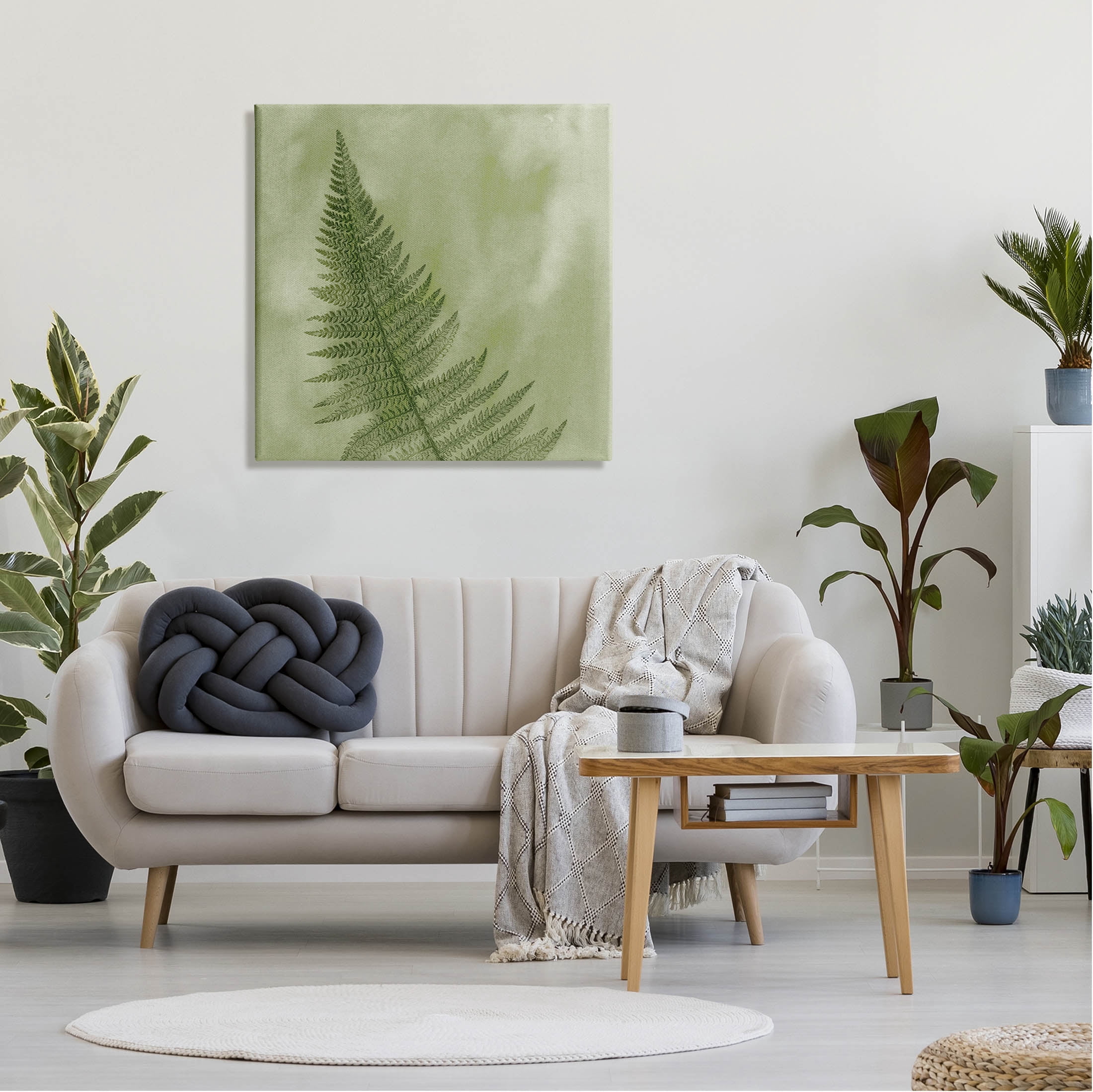 Modern Fern Nature Plant Botanical & Floral Graphic Art Gallery Wrapped Canvas Print Wall Art