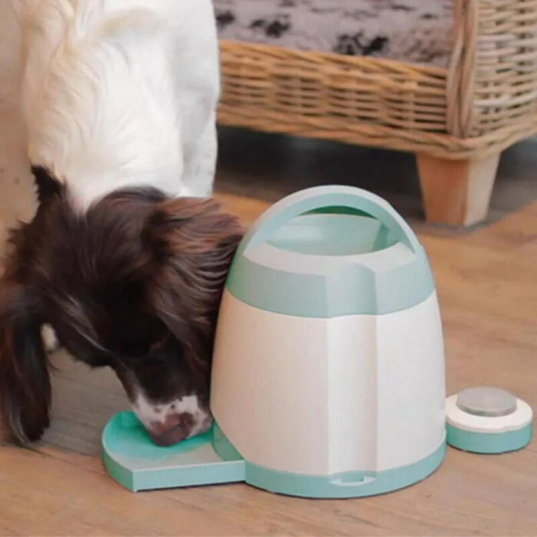Gigwi pet droid food dispenser hotsell