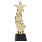 Shooting Star Trophy 9.5" (Each)