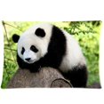 thumbnail image 1 of QIFEIHA Cute Panda Pillowcase Cushion Cover Two Sides Printing Size 20x30 inch, 1 of 2