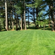 The Old Farmer's Almanac Natural Lawn Food 10-0-2 Granular Fertilizer - 20 lbs Covers 5000 sq ft
