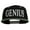 Black Silver, variant on Genius Embroidered Two Toned Snapback Cap - Black Silver OSFM