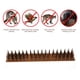 thumbnail image 3 of Repelente de seguridad anti- duradero Bird Cat Spikes para paredes de , paquete de 20, para seguridad anti-ar, 3 of 9