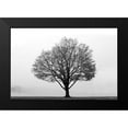 thumbnail image 2 of Deiter, Lori 14x11 Black Modern Framed Museum Art Print Titled - Flying Solo, 2 of 5