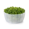 thumbnail image 2 of OXO Good Grips Little Salad & Herb Spinner, 2 of 5