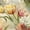 Color 1, variant on Peel and Stick Wallpaper Vintage Watercolor Tulip Blooming Stages Wall Mural 23.6in x 9.8ft Self Adhesive Removable Renter Friendly Wall Paper Decor for Walls Cabinets Home