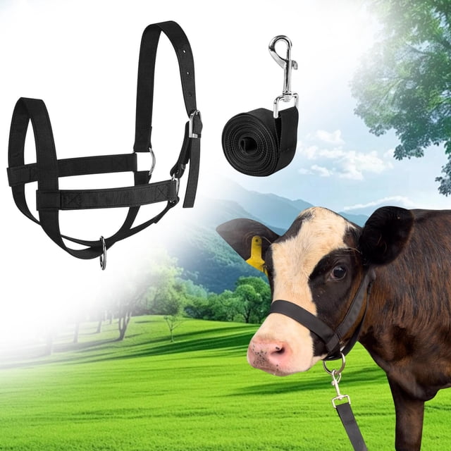Halter Nylon Bull Herramientas de suministro de brida al aire libre con 3 m Traction Rope Halter para caballos para cacería accesorios para M