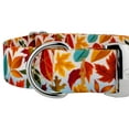 thumbnail image 5 of Country Brook Petz® 1 1/2 inch Premium Brisk Autumn Dog Collar, Large, 5 of 5