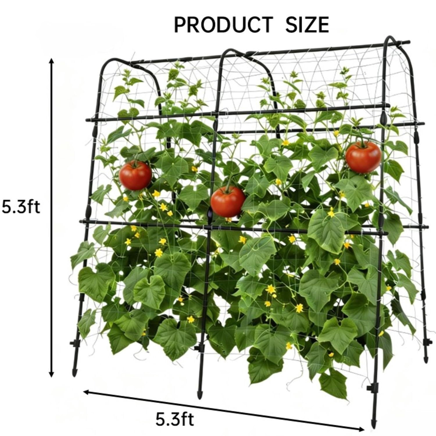 Rust-resistant black garden arch trellis, sized 6.8×3×2.6FT. Perfect for raised beds and outdoor vertical growing. Sturdy plant support for cucumbers, melons, grapes, roses and all climbing vegetable