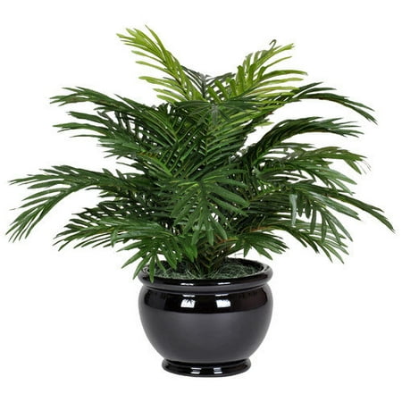House of Silk Flowers Inc. Artificial Parlor Fern Desk Top Plant in Pot