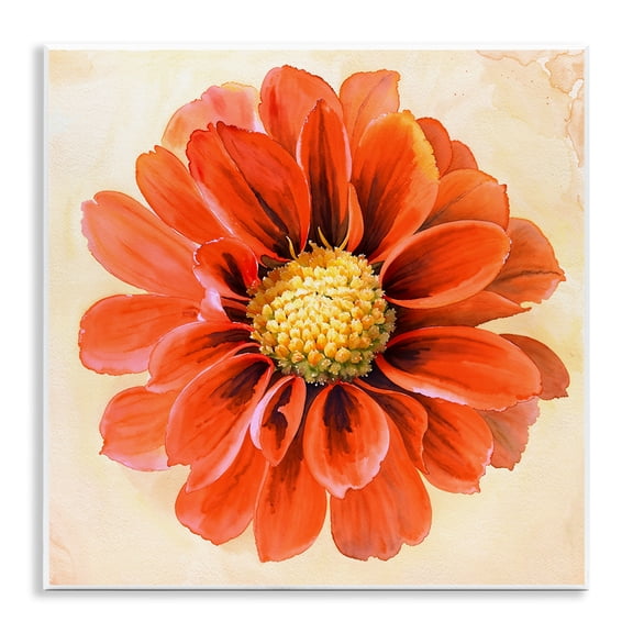 Stupell Industries Orange Dahlia Bloom Plants & Flowers Painting Unframed Art Print Wall Art, 12 x 12