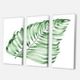thumbnail image 3 of Designart ' Close Up Of Tropical Leaf Of Monstera II ' Farmhouse Canvas Wall Art Print, 3 of 3