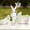 White-WH-home supplies, variant on KTTECTOA Easter Scepter Cute Resin Ornaments Clearance Christmas Decorations Canada Days Gifts Gifts