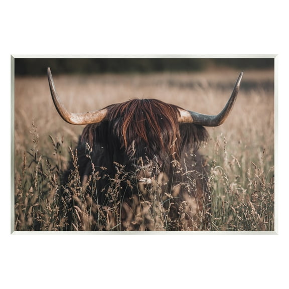 Stupell Industries Highland Cattle in Tall Grass Animals & Insects Photography Unframed Art Print Wall Art