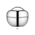 thumbnail image 3 of Justharion Thermos Portable Picnic Bento Lunch Box With Durable Versatile Lightweight And Portable Safe Silver 0.8L, 3 of 6