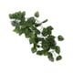 thumbnail image 5 of Simulación De Reptiles Paisajismo Decorativo Vine Verde Para Caja De Mascotas, 5 of 7