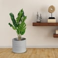 thumbnail image 4 of OUNONA 1Ud Planta Artificial Duradera Y Resistente Para Decorar Balcones, Y Oficinas, 4 of 6