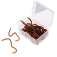 thumbnail image 2 of 20 Pcs / Box Strong Fishy Fishing Worm Soft Clam Worms Bass Fishing, 2 of 7