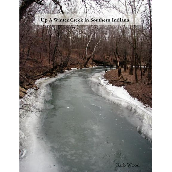 Up A Winter Creek in Southern Indiana