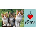 thumbnail image 1 of I Love Cats with Kittens Photo License Plate, 1 of 1