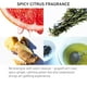thumbnail image 4 of Sérum de aceite antiencrespamiento para cabello Fekkai Brilliant Gloss Glass, 100 ml, 4 of 8