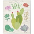 thumbnail image 1 of Succulent and Cacti Chart III on Wood by Wild Apple Portfolio, Canvas Wall Art, 16W x 20H, 1 of 1