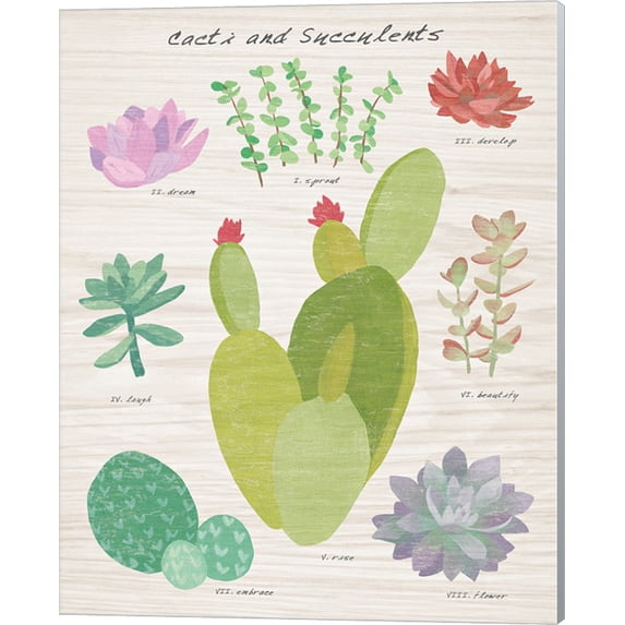 Succulent and Cacti Chart III on Wood by Wild Apple Portfolio, Canvas Wall Art, 16W x 20H