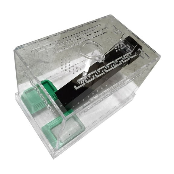 Large Clear Crickets Habitat Box Easy to Clean Detachable Base And Removable Lid For Home Use