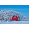 thumbnail image 2 of Jaynes Gallery 24x17 Black Ornate Wood Framed with Double Matting Museum Art Print Titled - Canada-Manitoba-Deacons Corner Red barn surrounded by trees covered with hoarfrost, 2 of 4